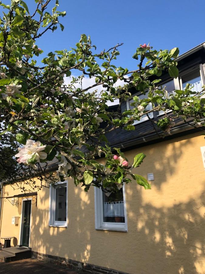 Am Apfelbaum, Ein Ferienhaus Zwischen Rhein Und Mosel Kastellaun Kültér fotó