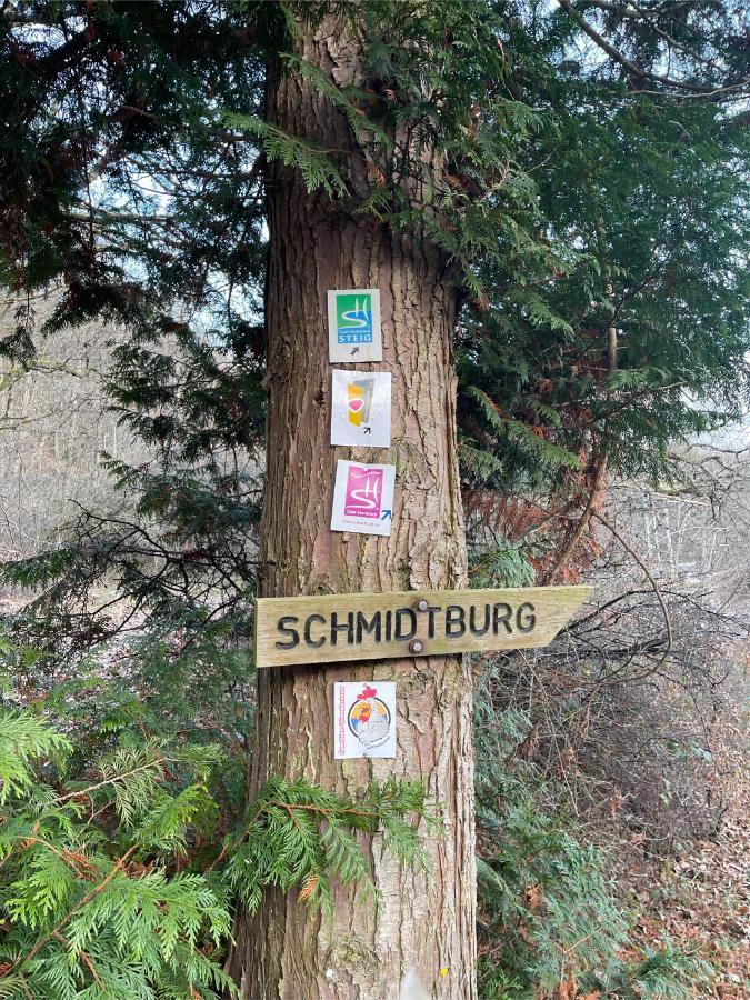 Am Apfelbaum, Ein Ferienhaus Zwischen Rhein Und Mosel Kastellaun Kültér fotó