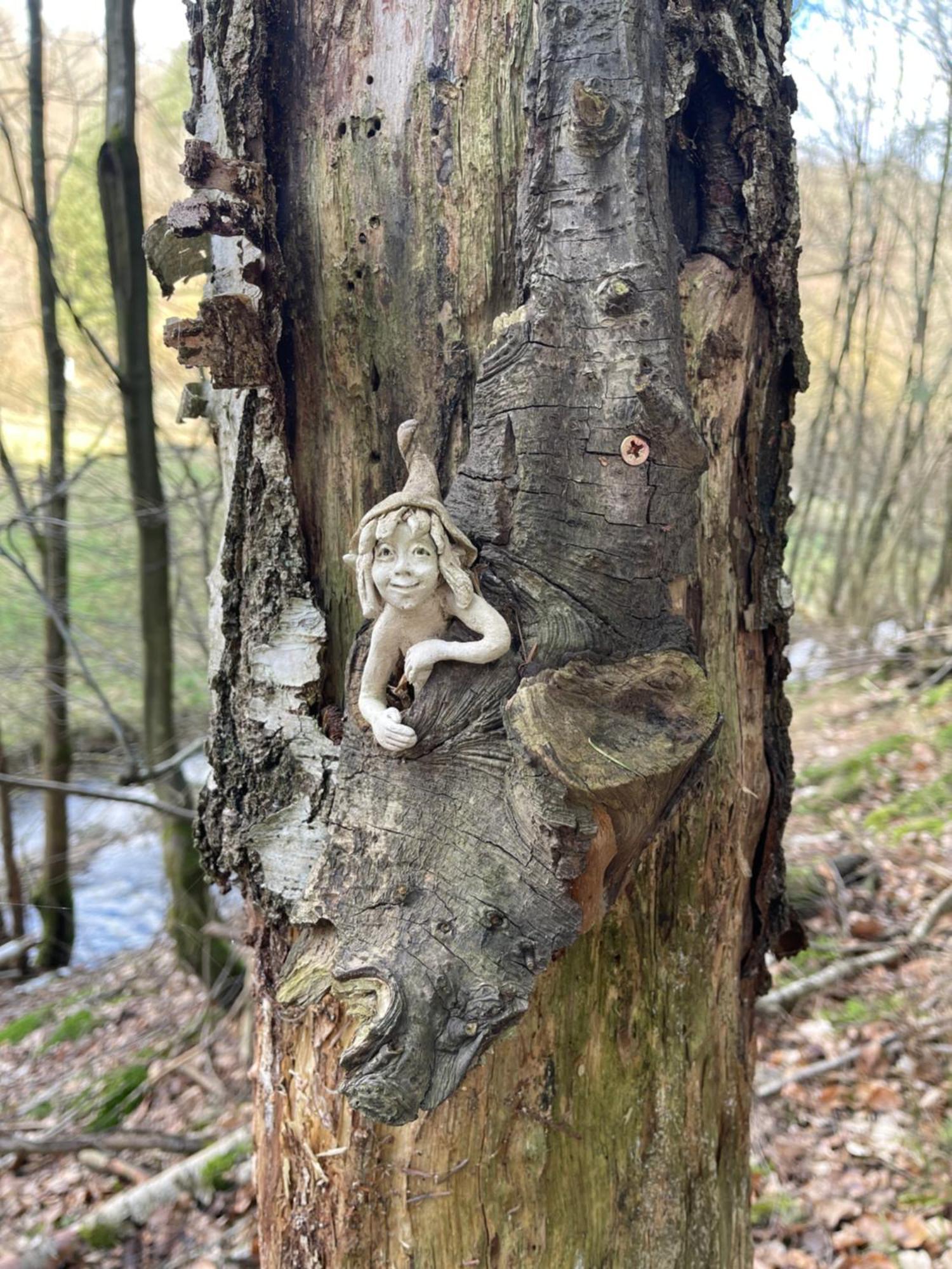 Am Apfelbaum, Ein Ferienhaus Zwischen Rhein Und Mosel Kastellaun Kültér fotó