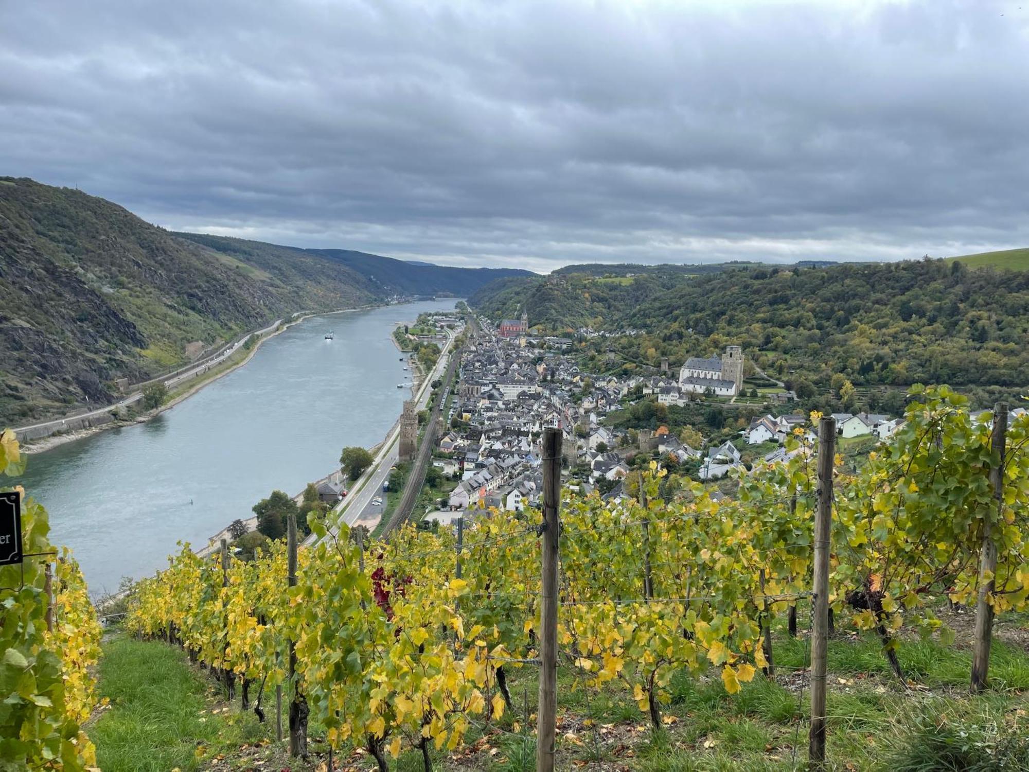 Am Apfelbaum, Ein Ferienhaus Zwischen Rhein Und Mosel Kastellaun Kültér fotó