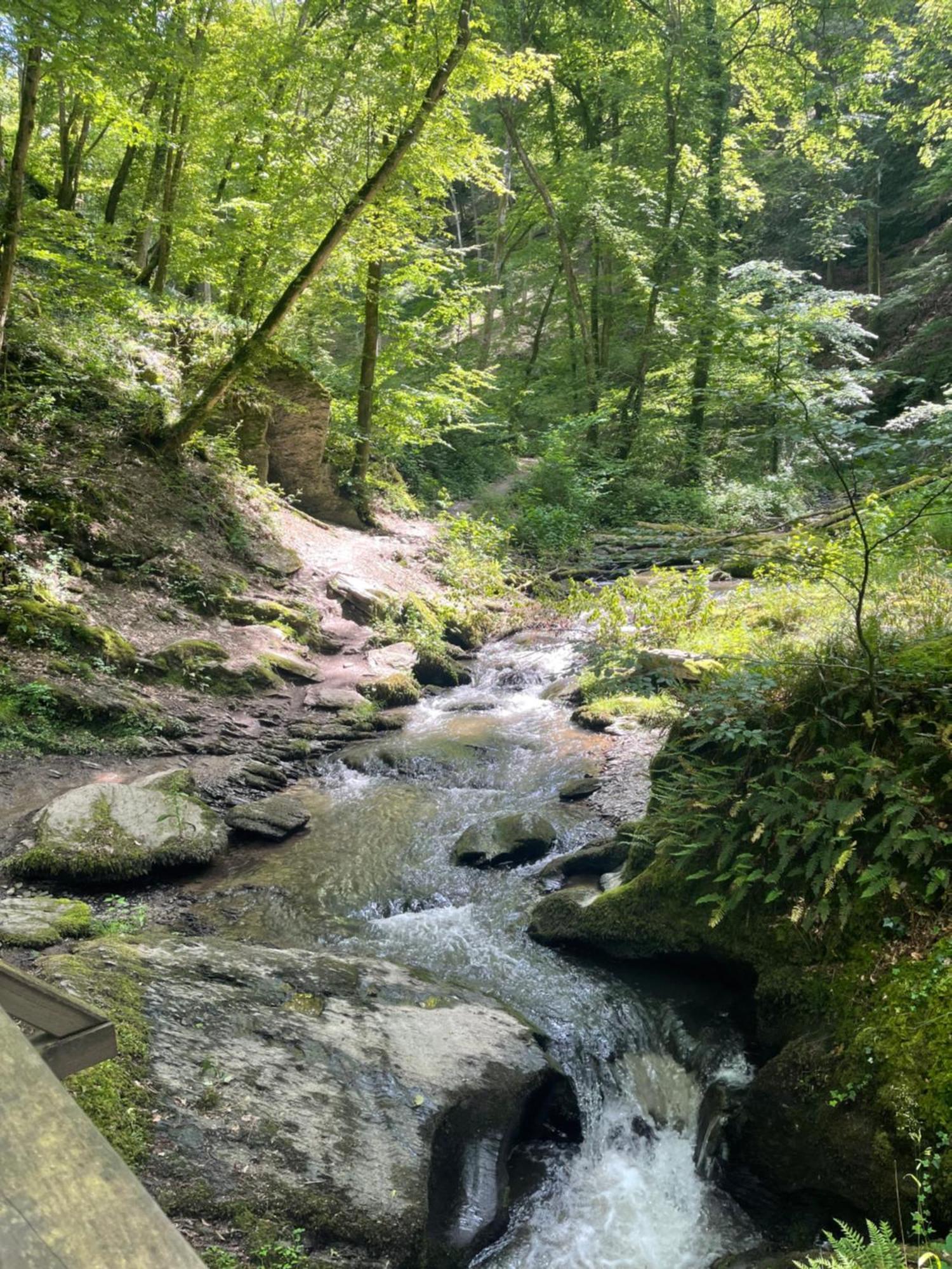 Am Apfelbaum, Ein Ferienhaus Zwischen Rhein Und Mosel Kastellaun Kültér fotó
